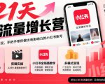 21天IP流量增长营，小红书全链路教学，账号定位剪辑实操，多模式变现系统课