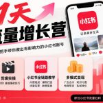 21天IP流量增长营，小红书全链路教学，账号定位剪辑实操，多模式变现系统课