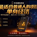 单身经济小众赛道，每天800-1000，一部手机就能干，最适合普通人的项目【揭秘】