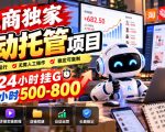 电商独家自动托管项目，24小时挂G，2小时500-800，附全套工具【揭秘】