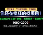 你还在疯狂的找项目？别傻了！卖项目才是真正的一本万利！怎么做，看完你全都明白！【揭秘】
