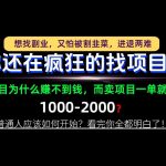 你还在疯狂的找项目？别傻了！卖项目才是真正的一本万利！怎么做，看完你全都明白！【揭秘】